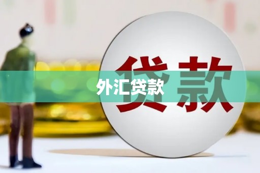 略阳外汇贷款