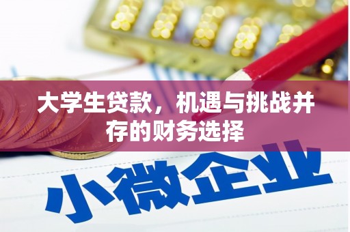 鼓楼大学生贷款，机遇与挑战并存的财务选择