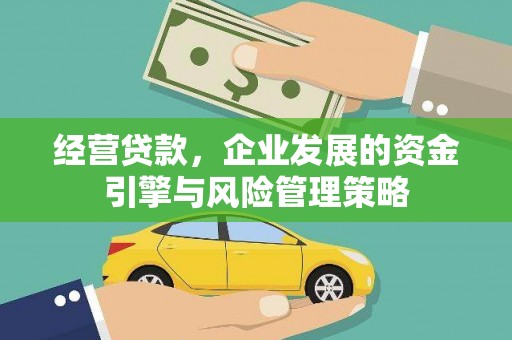 兰屿经营贷款，企业发展的资金引擎与风险管理策略