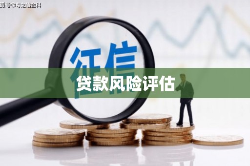 花山贷款风险评估