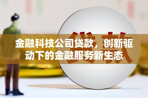 马山金融科技公司贷款，创新驱动下的金融服务新生态