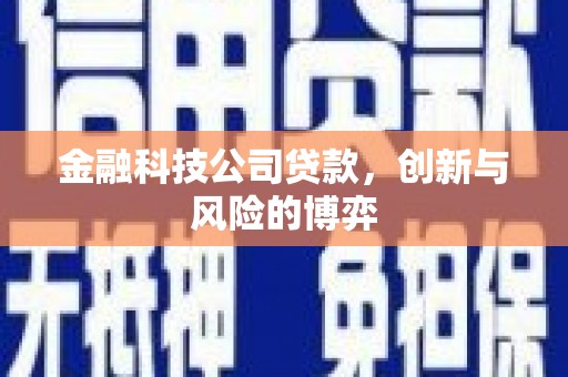 中正金融科技公司贷款，创新与风险的博弈