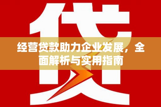 隆昌经营贷款助力企业发展，全面解析与实用指南