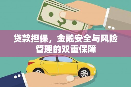 芦淞贷款担保，金融安全与风险管理的双重保障