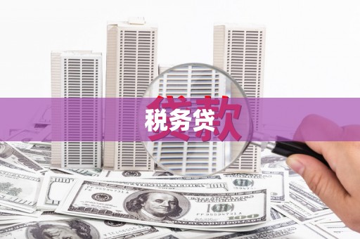 静海税务贷