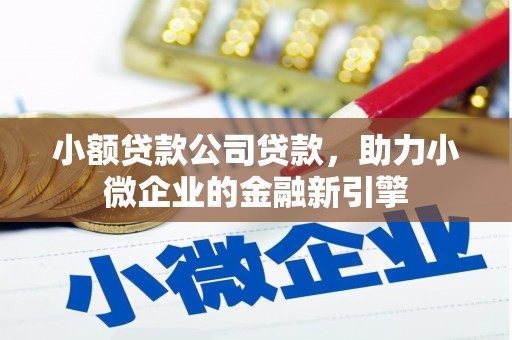 溆浦小额贷款公司贷款，助力小微企业的金融新引擎