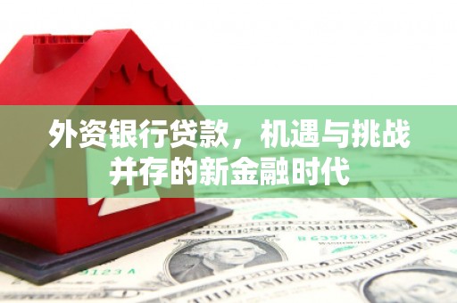 南化外资银行贷款，机遇与挑战并存的新金融时代