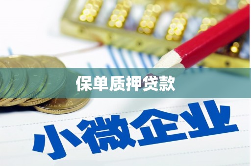 衡阳保单质押贷款