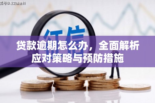 邵阳县贷款逾期怎么办，全面解析应对策略与预防措施