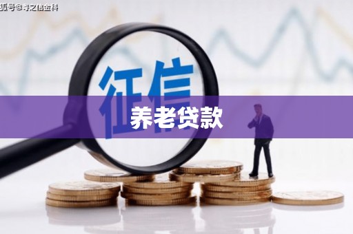 璧山养老贷款