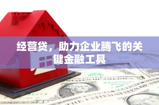 石屏经营贷，助力企业腾飞的关键金融工具