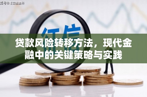开阳贷款风险转移方法，现代金融中的关键策略与实践