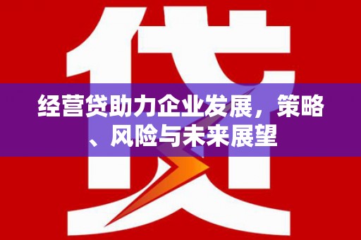 宣威经营贷助力企业发展，策略、风险与未来展望