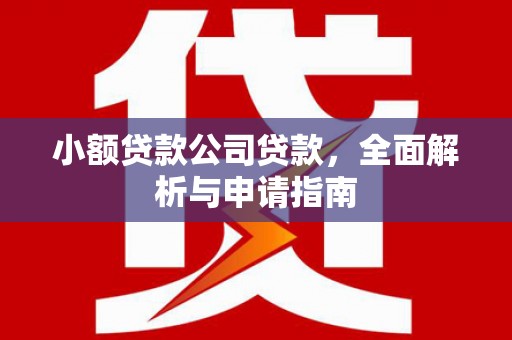 湖里小额贷款公司贷款，全面解析与申请指南