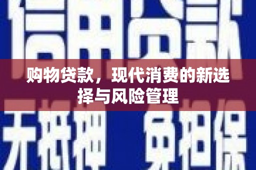 邵阳县购物贷款，现代消费的新选择与风险管理