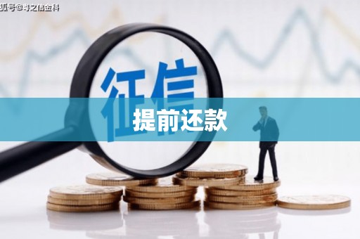 武鸣提前还款