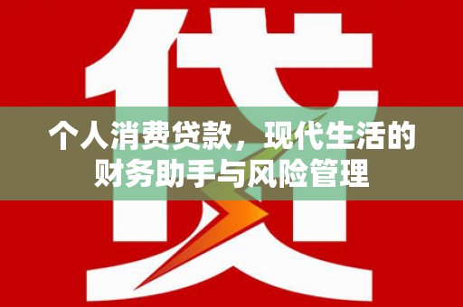灵武个人消费贷款，现代生活的财务助手与风险管理