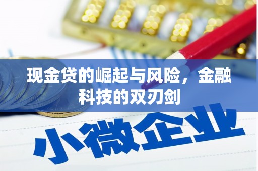 玛家现金贷的崛起与风险，金融科技的双刃剑