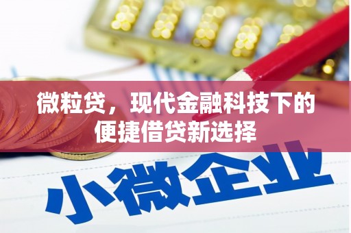 越城微粒贷，现代金融科技下的便捷借贷新选择