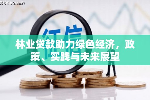 迭部林业贷款助力绿色经济，政策、实践与未来展望