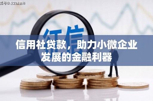 德宏信用社贷款，助力小微企业发展的金融利器