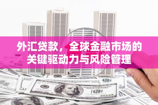 靖西外汇贷款，全球金融市场的关键驱动力与风险管理