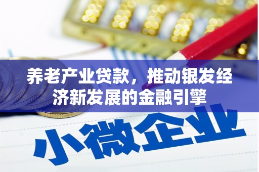 田林养老产业贷款，推动银发经济新发展的金融引擎