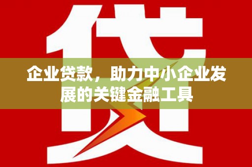 岷县企业贷款，助力中小企业发展的关键金融工具