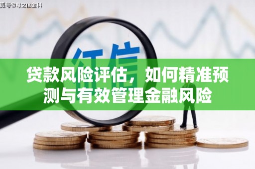 蒲城贷款风险评估，如何精准预测与有效管理金融风险