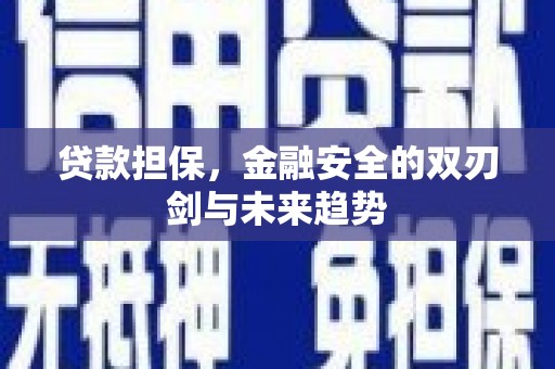 江岸贷款担保，金融安全的双刃剑与未来趋势