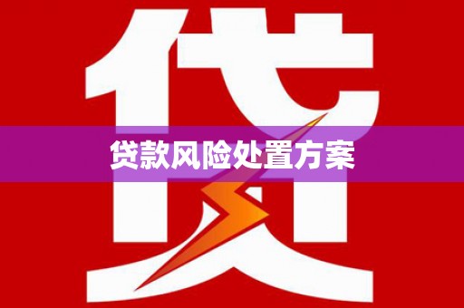 枝江贷款风险处置方案