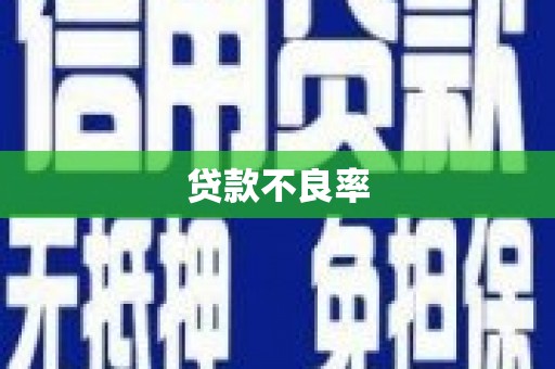 广水贷款不良率