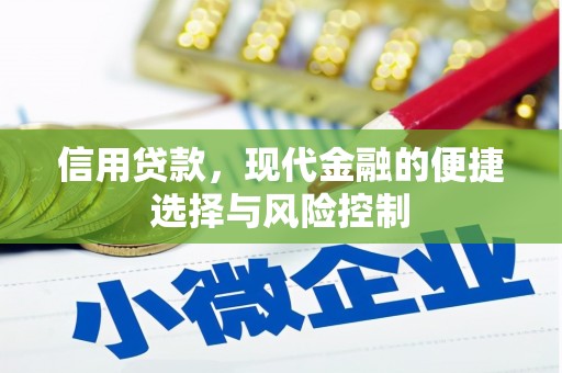 前锋信用贷款，现代金融的便捷选择与风险控制