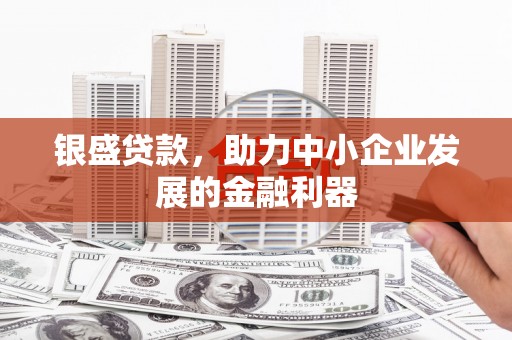 博湖银盛贷款，助力中小企业发展的金融利器