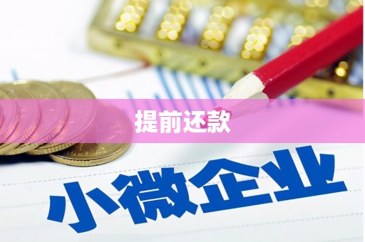咸宁提前还款