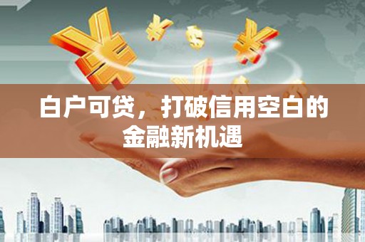兴和白户可贷，打破信用空白的金融新机遇