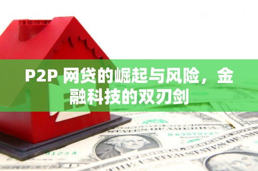 二水P2P 网贷的崛起与风险，金融科技的双刃剑