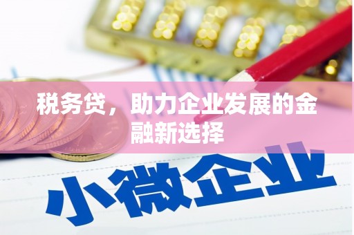 新津税务贷，助力企业发展的金融新选择