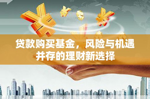 陆丰贷款购买基金，风险与机遇并存的理财新选择