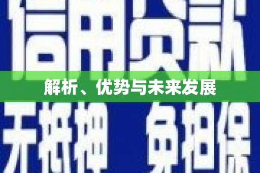 龙口解析、优势与未来发展