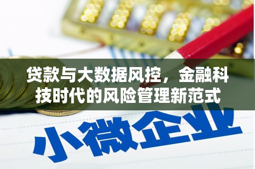河源贷款与大数据风控，金融科技时代的风险管理新范式