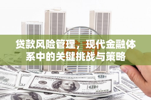 紫云贷款风险管理，现代金融体系中的关键挑战与策略