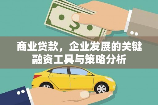 蒙阴商业贷款，企业发展的关键融资工具与策略分析