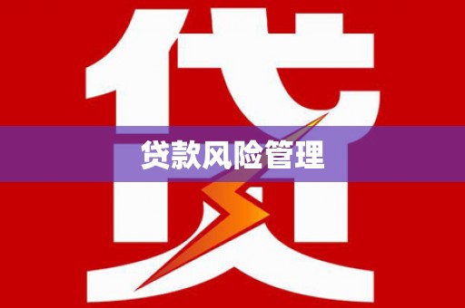 甘肃贷款风险管理