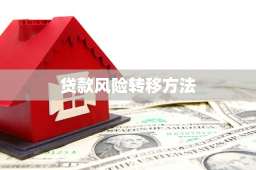 宜君贷款风险转移方法