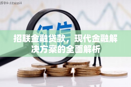 金华招联金融贷款，现代金融解决方案的全面解析
