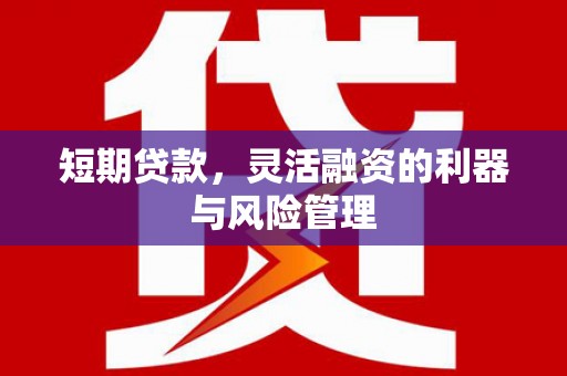 历下短期贷款，灵活融资的利器与风险管理