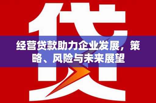 遂昌经营贷款助力企业发展，策略、风险与未来展望