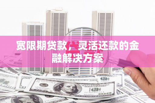 分宜宽限期贷款，灵活还款的金融解决方案