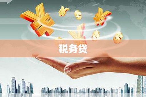 临海税务贷